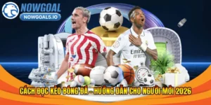 cách đọc kèo bóng đá